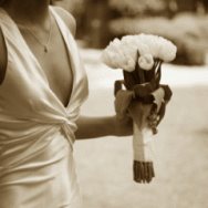 Bridal Gown and flowers