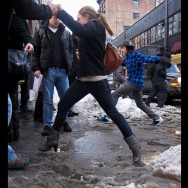 Photo from the New York Daily News